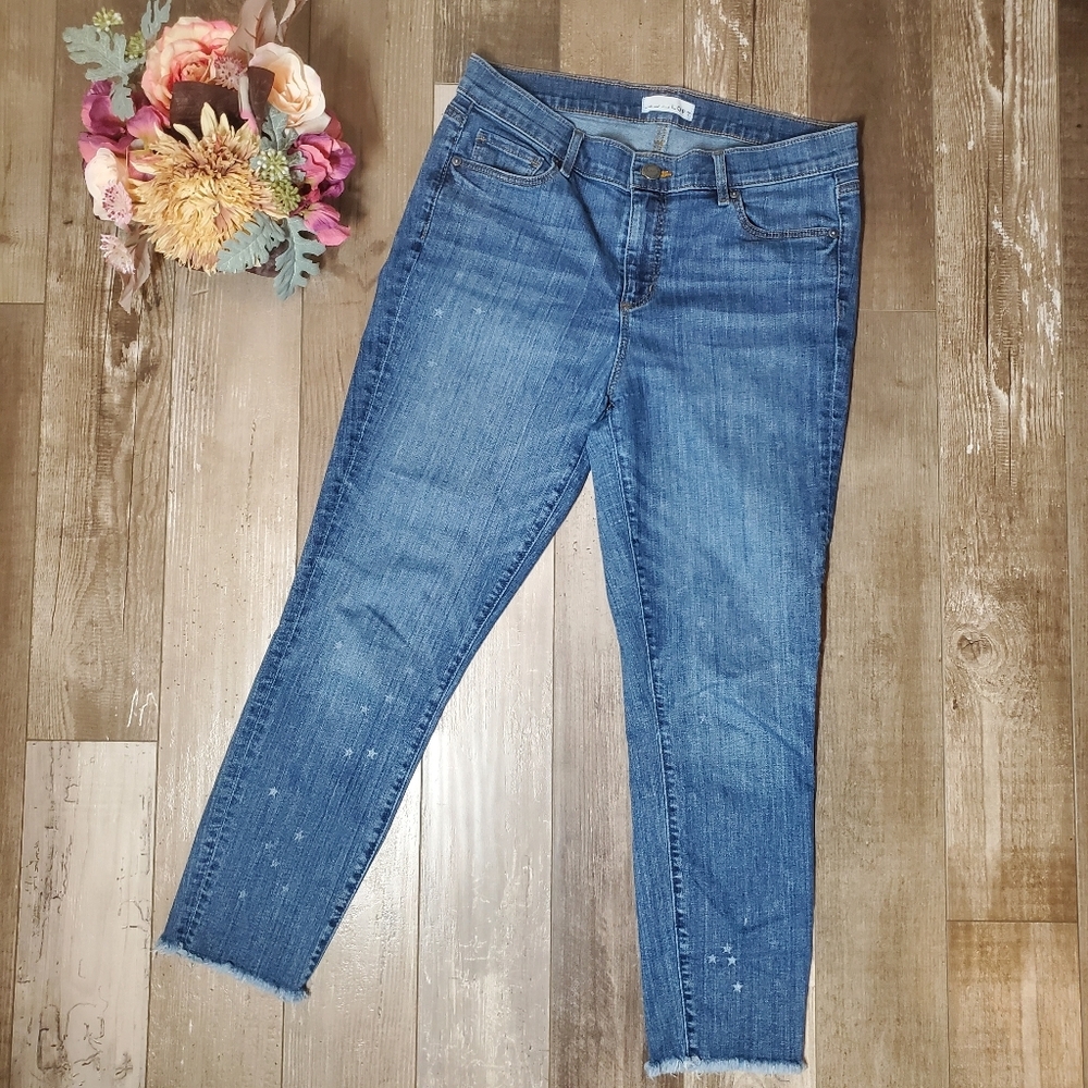 LOFT Modern Skinny Crop Jeans Women's Size 30/10 EUC